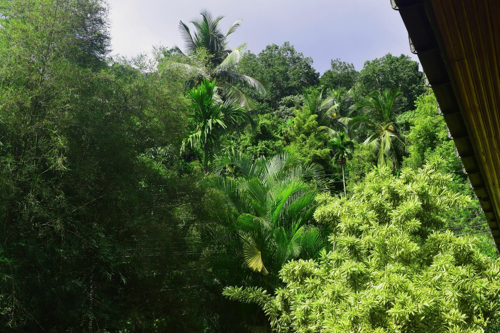 Avaana By Springhills Kandy Exterior foto