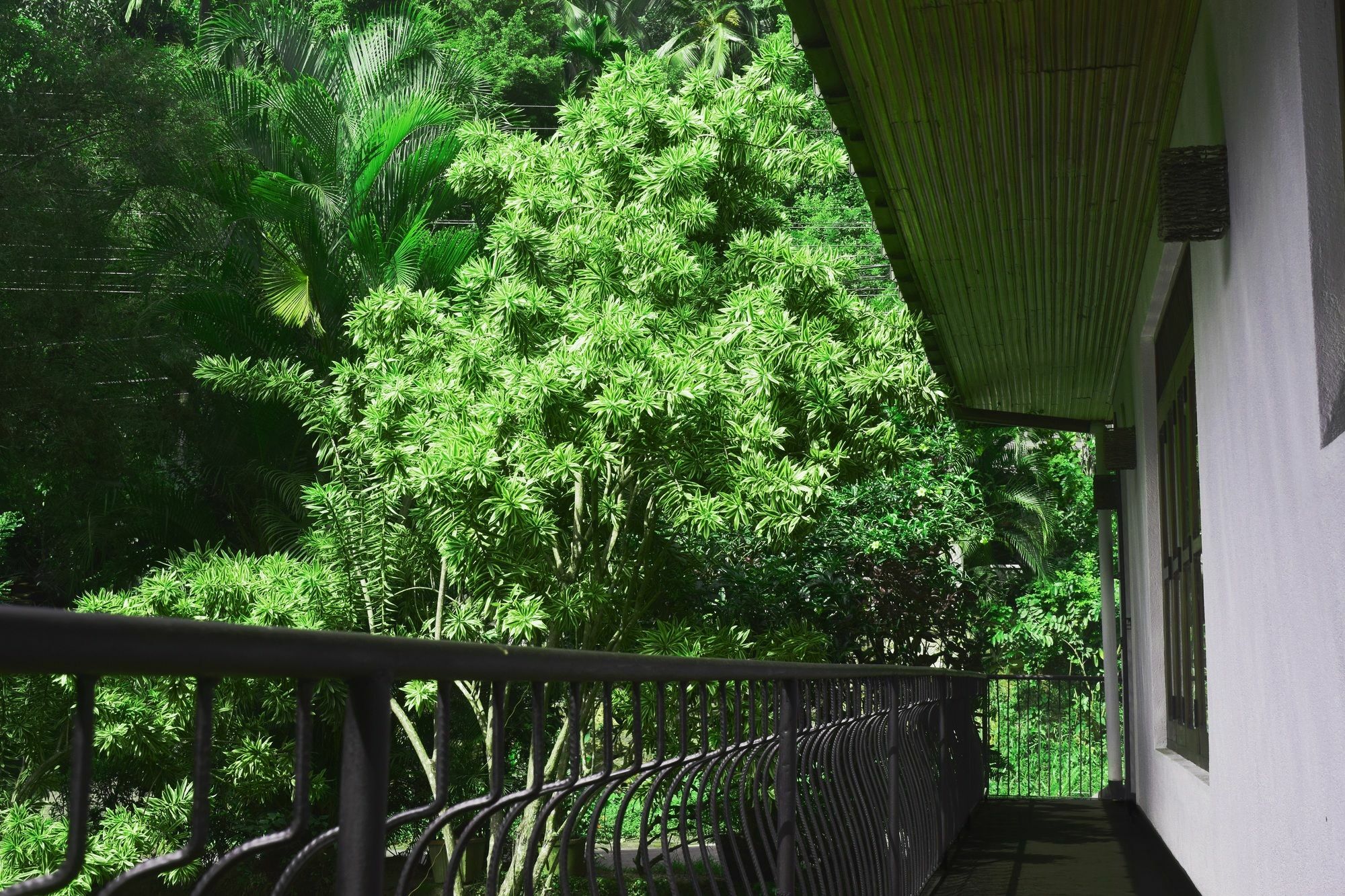Avaana By Springhills Kandy Exterior foto